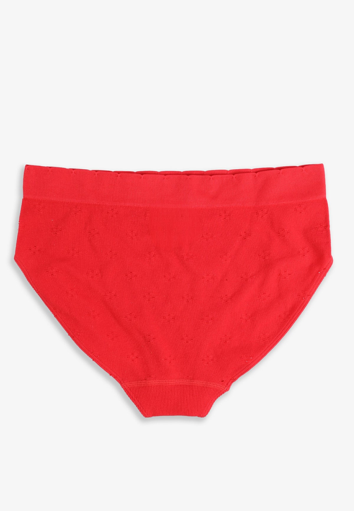 Maurices True Stretch Seamless Eyelet Floral Hipster Panty